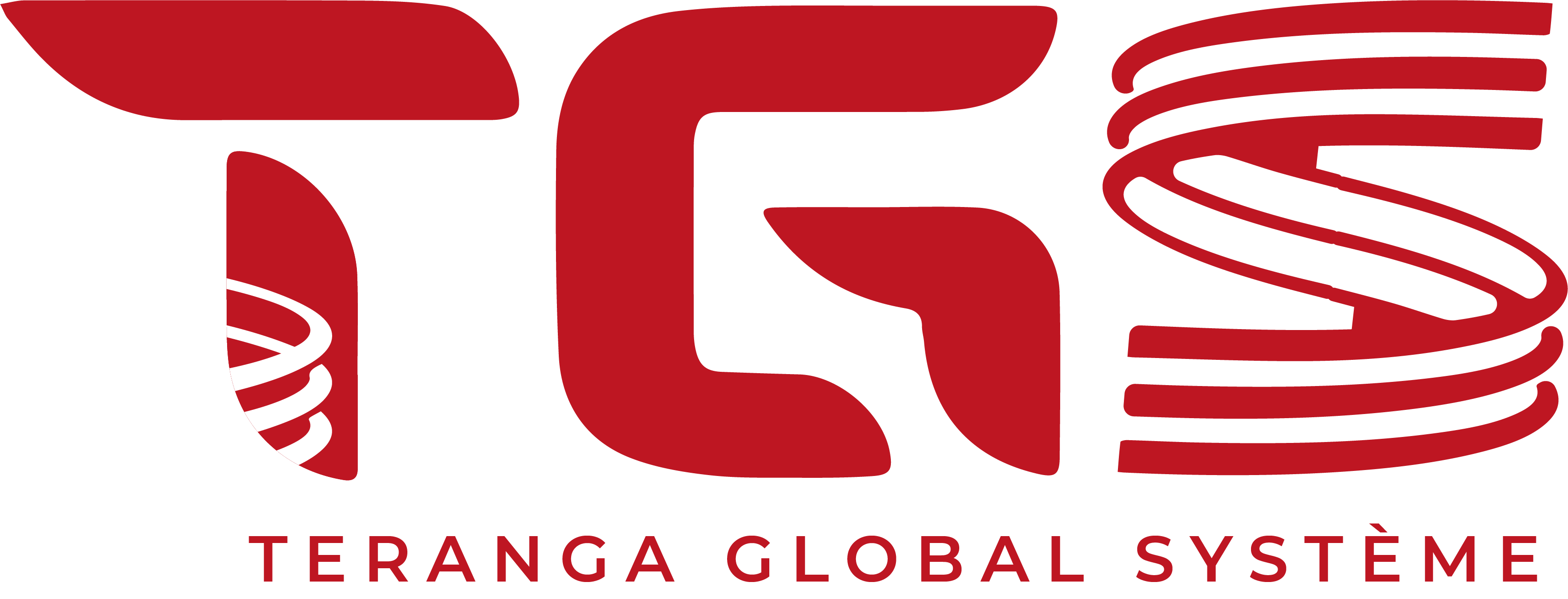 TGS - Teranga Global Systeme